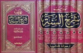 Tehzibu Şerhis Sünne تهذيب شرح السنة